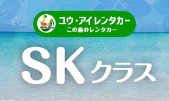 【年末年始】【国際通り店・来店専用】登録4年未満軽自動車・禁煙・カーナビ・ETC車載器・Bluetooth・バックカメラ・免責補償込み