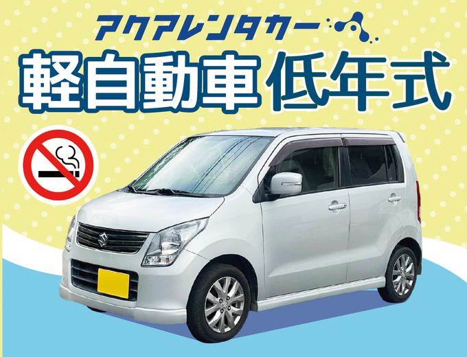 【30歳以上限定】中古車レンタカーだから出来る特別価格♪ゆったり安心ドライブプラン(禁煙・ナビ有・ETC車載器有)