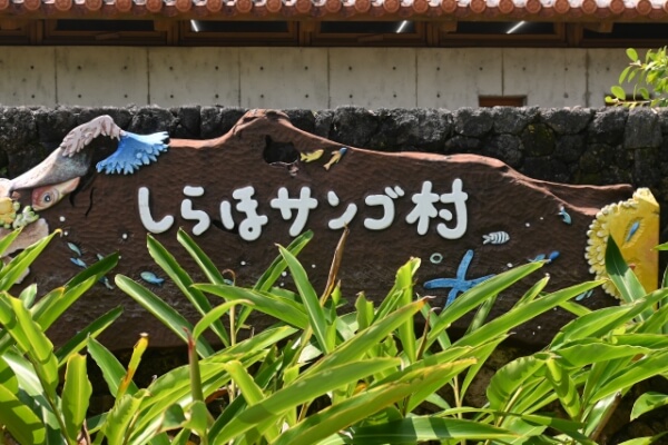 第11回『白保はじめまルシェ』で石垣島の魅力を体感しよう！